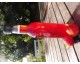 Sirop de Fraise